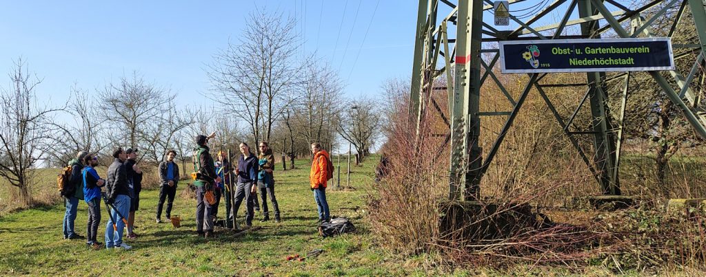 Obstbaumschnitt 2026